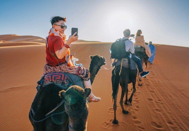 Maximiza tus Ganancias