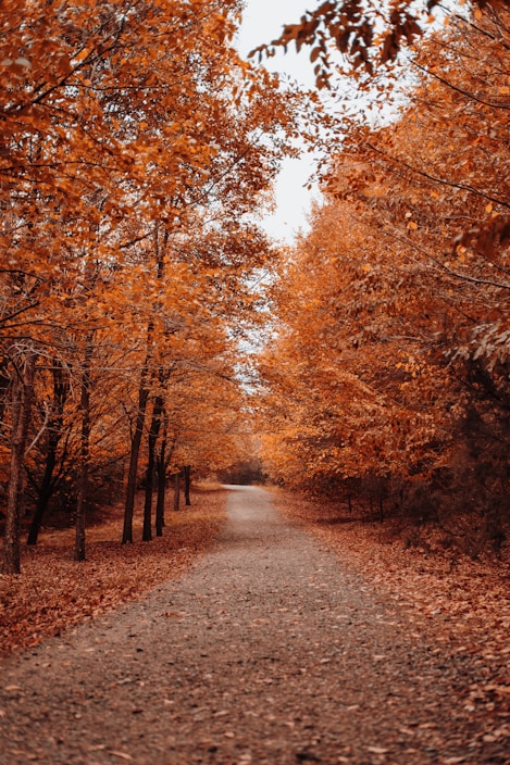 Otoño en Turquía: La Temporada Perfecta para Viajar